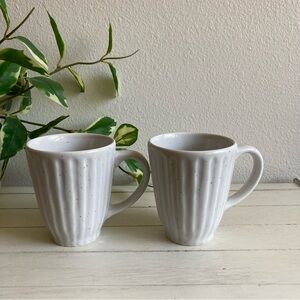West Elm Set of 2 Ribbed Speckled Coffee Mugs